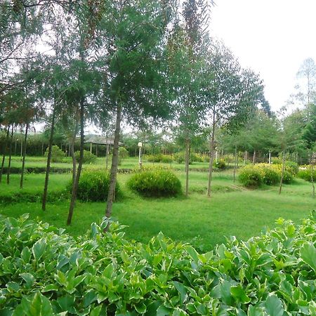 Triple Eden Resort - Найваша Екстериор снимка